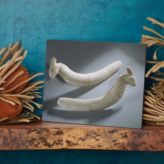 Paar van kastanjes, dunne periode (hippopotamus iv fotoplaat (Zijkant)