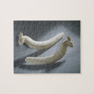 Paar van kastanjes, dunne periode (hippopotamus iv legpuzzel