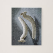 Paar van kastanjes, dunne periode (hippopotamus iv legpuzzel (Verticaal)