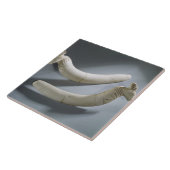 Paar van kastanjes, dunne periode (hippopotamus iv tegeltje (Zijkant)