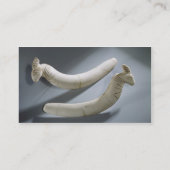 Paar van kastanjes, dunne periode (hippopotamus iv visitekaartje (Achterkant)