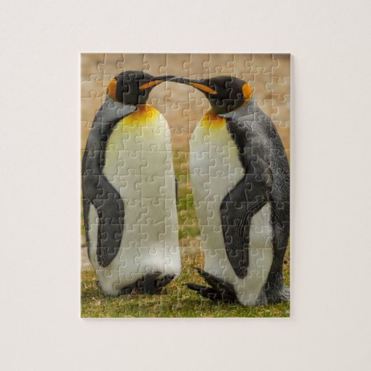 Paar van King Penguins, Falklands Legpuzzel (Verticaal)