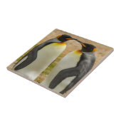 Paar van King Penguins, Falklands Tegeltje (Zijkant)