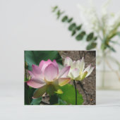 Paar van Lotus Flowers I Briefkaart (Staand voorkant)