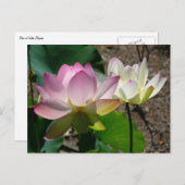 Paar van Lotus Flowers I Briefkaart (Voorkant / Achterkant)