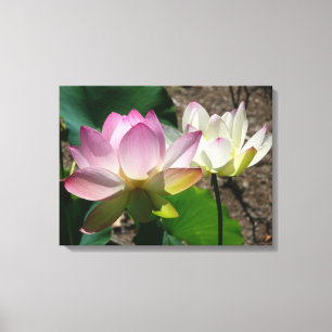 Paar van Lotus Flowers I Canvas Afdruk