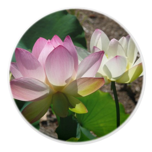 Paar van Lotus Flowers I Keramische Knop (Voorkant)