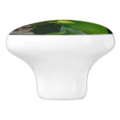 Paar van Lotus Flowers I Keramische Knop (Zijkant)