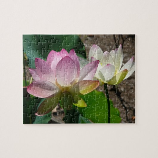 Paar van Lotus Flowers I Legpuzzel (Horizontaal)