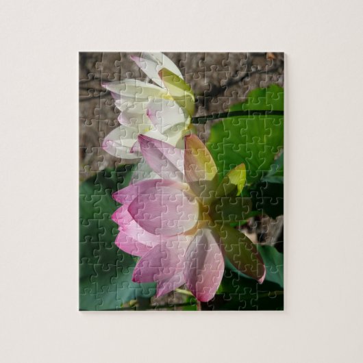Paar van Lotus Flowers I Legpuzzel (Verticaal)