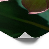 Paar van Lotus Flowers I Poster (Hoek)