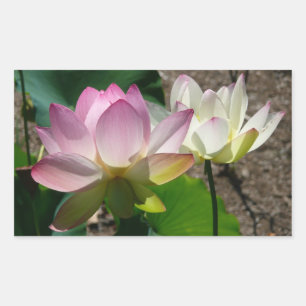 Paar van Lotus Flowers I Rechthoekige Sticker