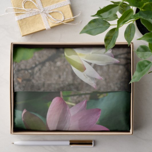 Paar van Lotus Flowers I Tissuepapier (Geschenk)
