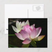 Paar van Lotus Flowers II Briefkaart (Voorkant / Achterkant)