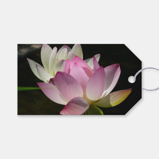 Paar van Lotus Flowers II Cadeaulabel (Voorkant (Horizontaal))