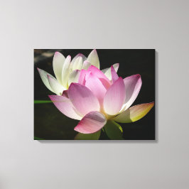 Paar van Lotus Flowers II Canvas Afdruk