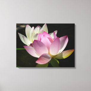 Paar van Lotus Flowers II Canvas Afdruk