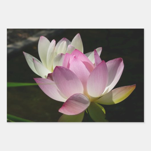 Paar van Lotus Flowers II Inpakpapier Vel (Voorkant)