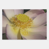 Paar van Lotus Flowers II Inpakpapier Vel (Voorkant 3)