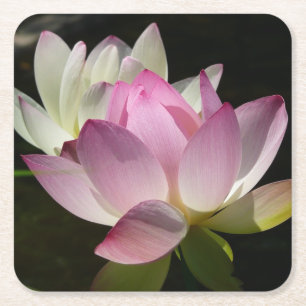 Paar van Lotus Flowers II Kartonnen Onderzetters