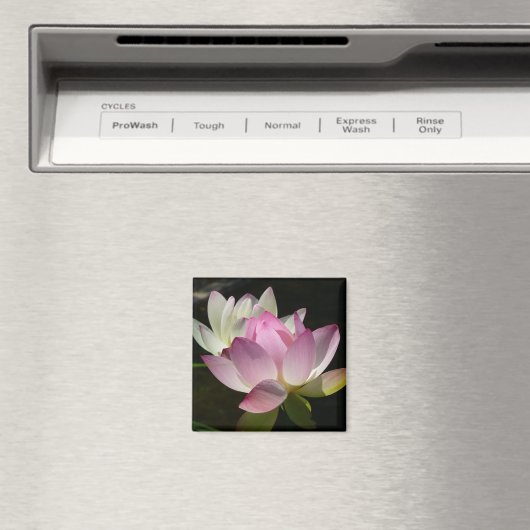 Paar van Lotus Flowers II Magneet (Insitu (Vaatwasser))