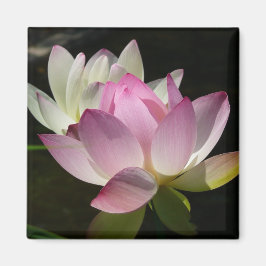 Paar van Lotus Flowers II Magneet