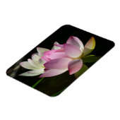 Paar van Lotus Flowers II Magneet (Linkerzijde)