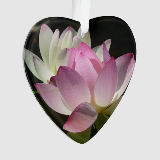 Paar van Lotus Flowers II Ornament (voorkant)