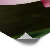 Paar van Lotus Flowers II Poster (Hoek)