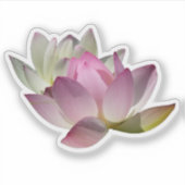 Paar van Lotus Flowers II Sticker (Voorkant)