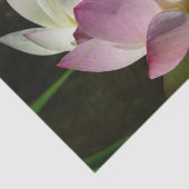 Paar van Lotus Flowers II Tissuepapier (Detail)