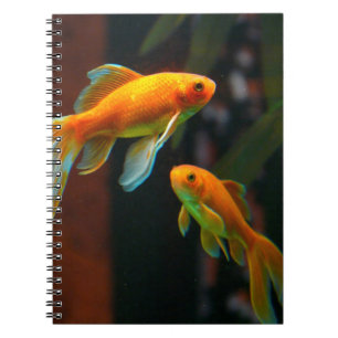 Paar van Lucky Goldfish Notitieboek