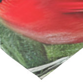 Paar van Majestic Wilde Rode Kardinalen Tafelkleed (Gekanteld)