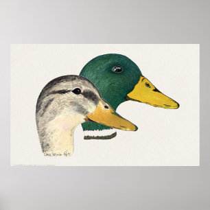 Paar van Mallard Ducks (Drake en Hen) Poster