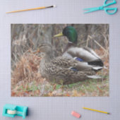 Paar van Mallard Ducks Tissuepapier (Craft)
