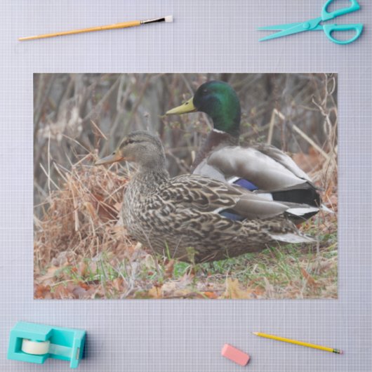 Paar van Mallard Ducks Tissuepapier (Craft)