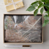 Paar van Mallard Ducks Tissuepapier (Geschenk)