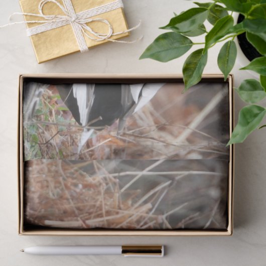 Paar van Mallard Ducks Tissuepapier (Geschenk)