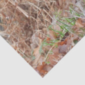 Paar van Mallard Ducks Tissuepapier (Detail)