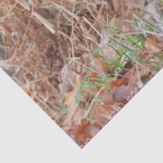 Paar van Mallard Ducks Tissuepapier (Detail)