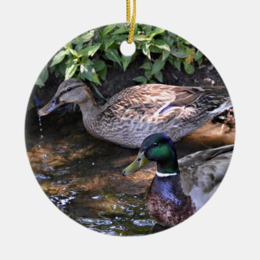 Paar van Mated Mallard Ducks Keramisch Ornament (Voorkant)
