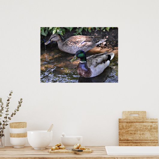 Paar van Mated Mallards Poster (Keuken)