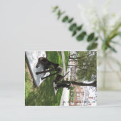 Paar van metalen honden briefkaart (Staand voorkant)