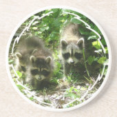 Paar van Onderzetters van Raccoons (Voorkant)