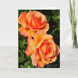 Paar van Oranje Roos bloesems Kaart