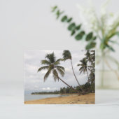 Paar van Palms Briefkaart (Staand voorkant)