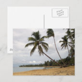 Paar van Palms Briefkaart (Voorkant / Achterkant)