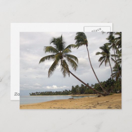 Paar van Palms Briefkaart (Voorkant / Achterkant)