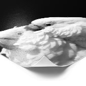 Paar van paraplu-cockatoes foto afdruk (Hoek)