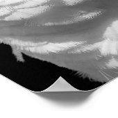 Paar van paraplu-cockatoes poster (Hoek)